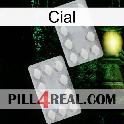 Cial 17